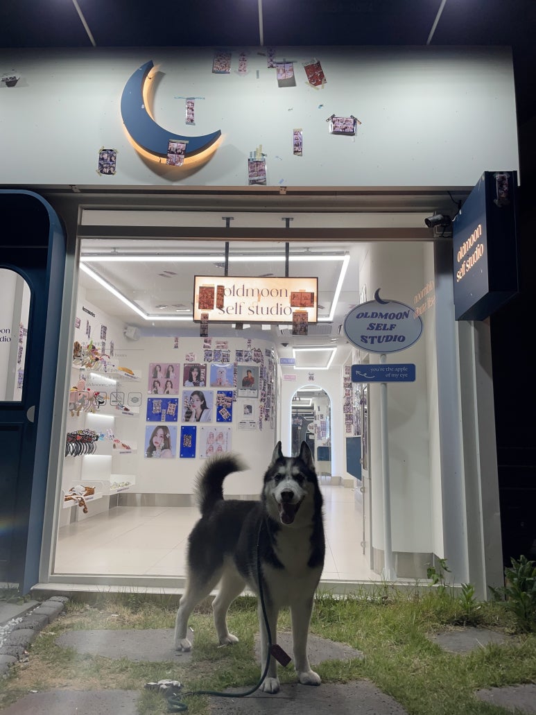 술당포 이미지