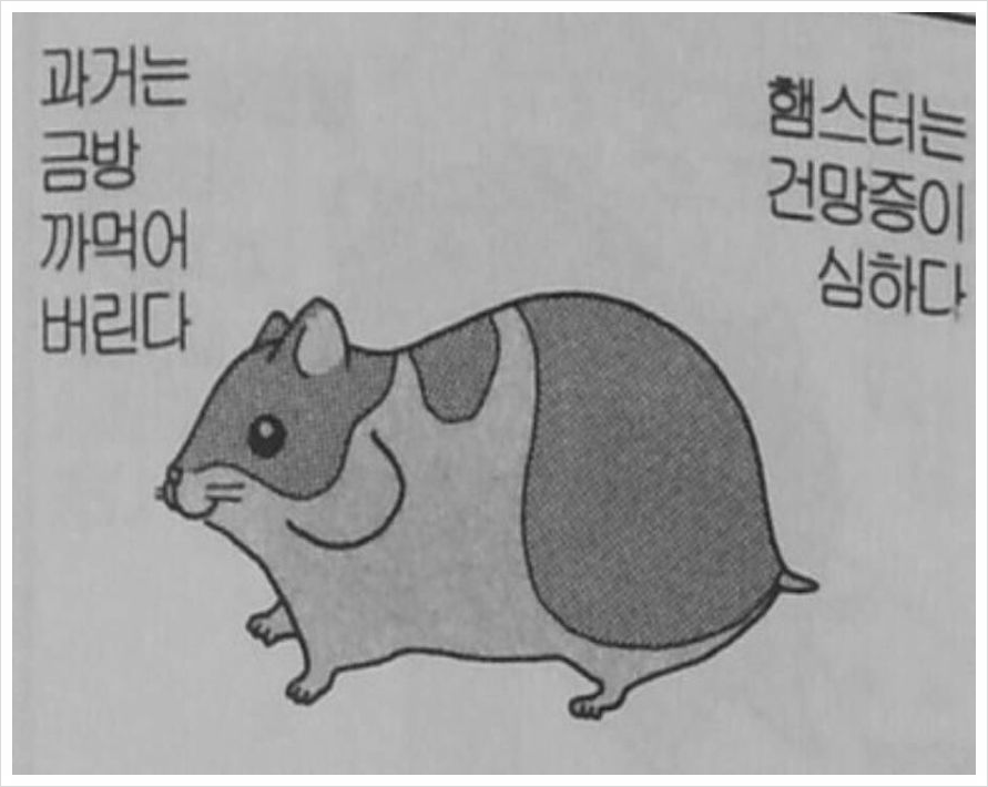 청우세무회계 이미지