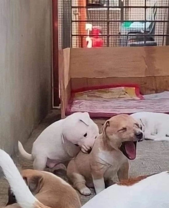 아임파인 이미지