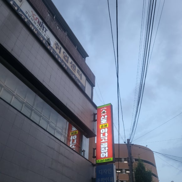 산호포차 이미지