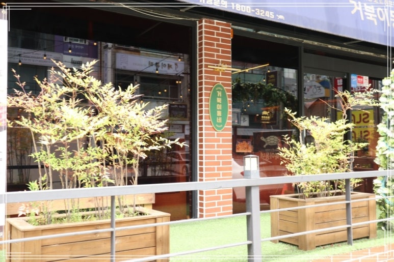 거북이동네창원 이미지