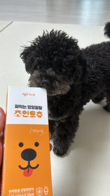 팔팔토이 이미지