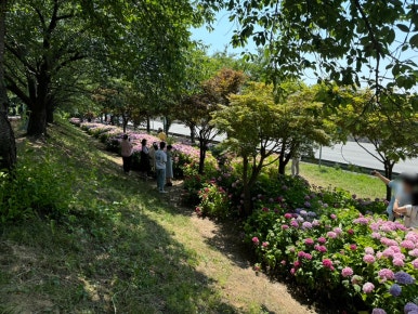 삼락주유소 이미지