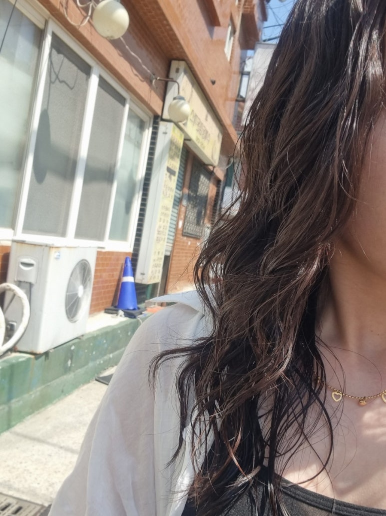 살롱드 비인 이미지