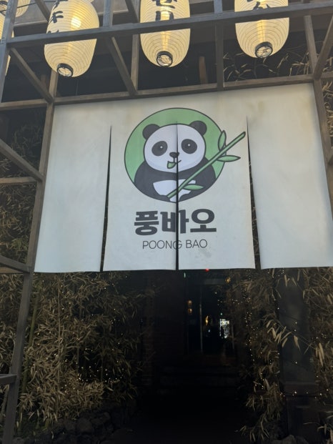 풍바오 이미지