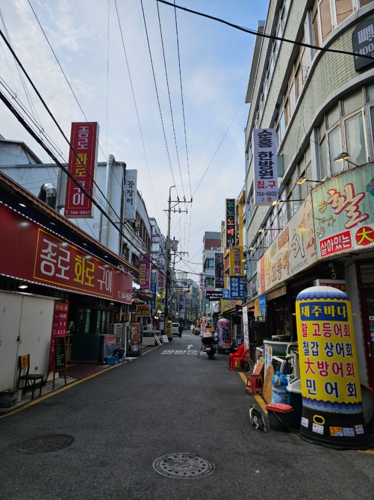 헐노래연습장 이미지
