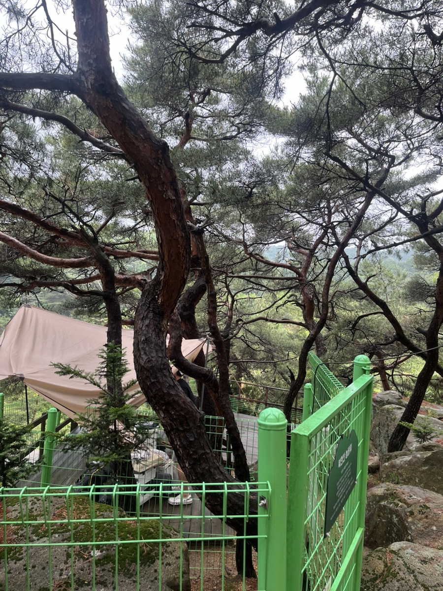 북한산농바위캠핑장 이미지