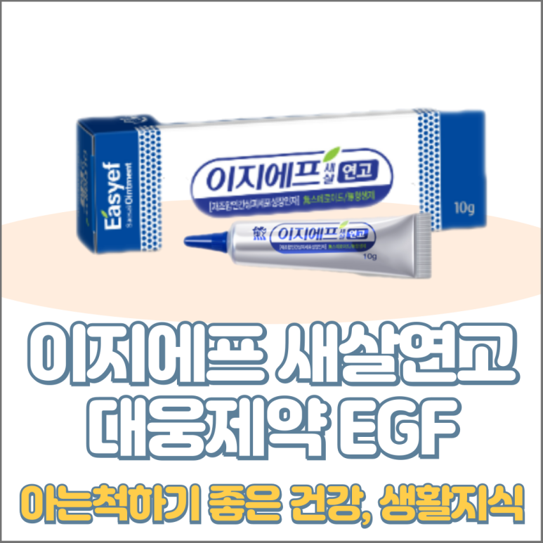 (주)이지에프 이미지