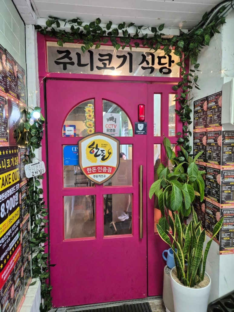 주니코기 이미지