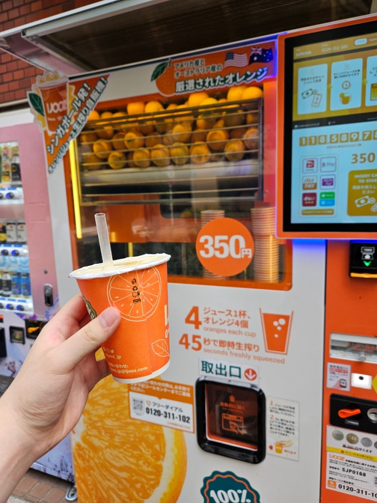 비둘기문구점 이미지
