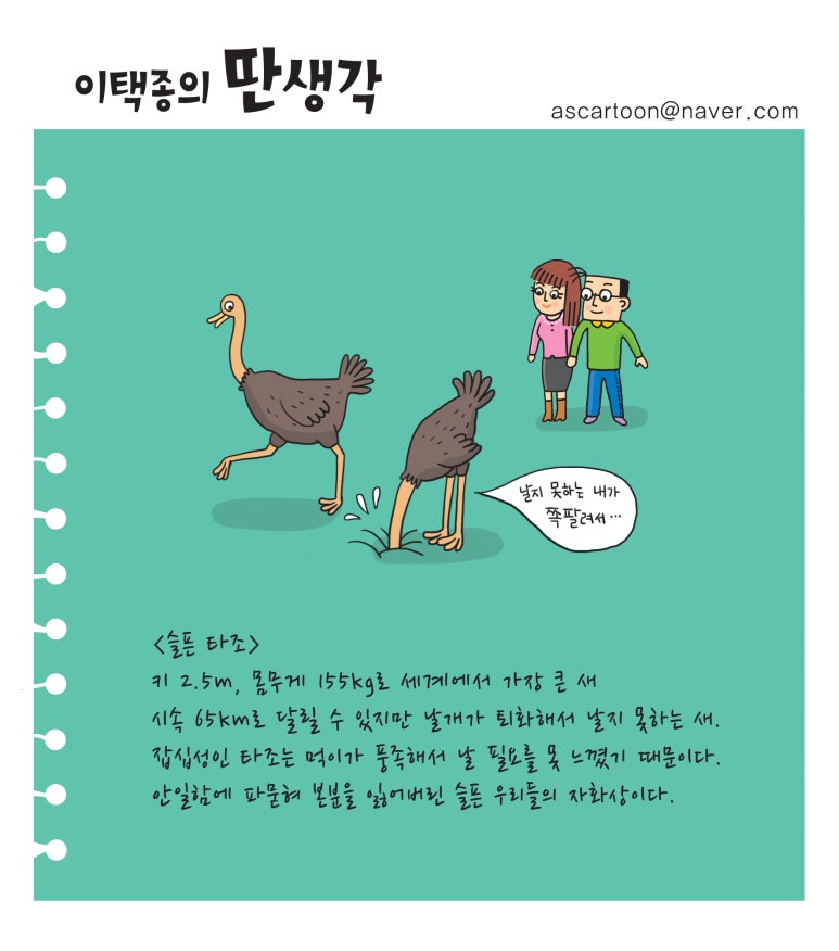 뉴스다임 이미지