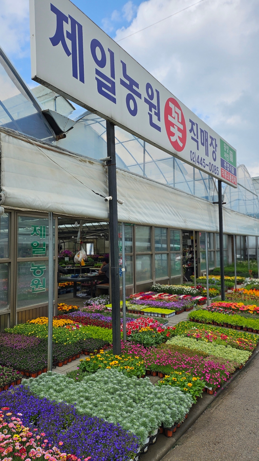 제일꽃직매장 이미지