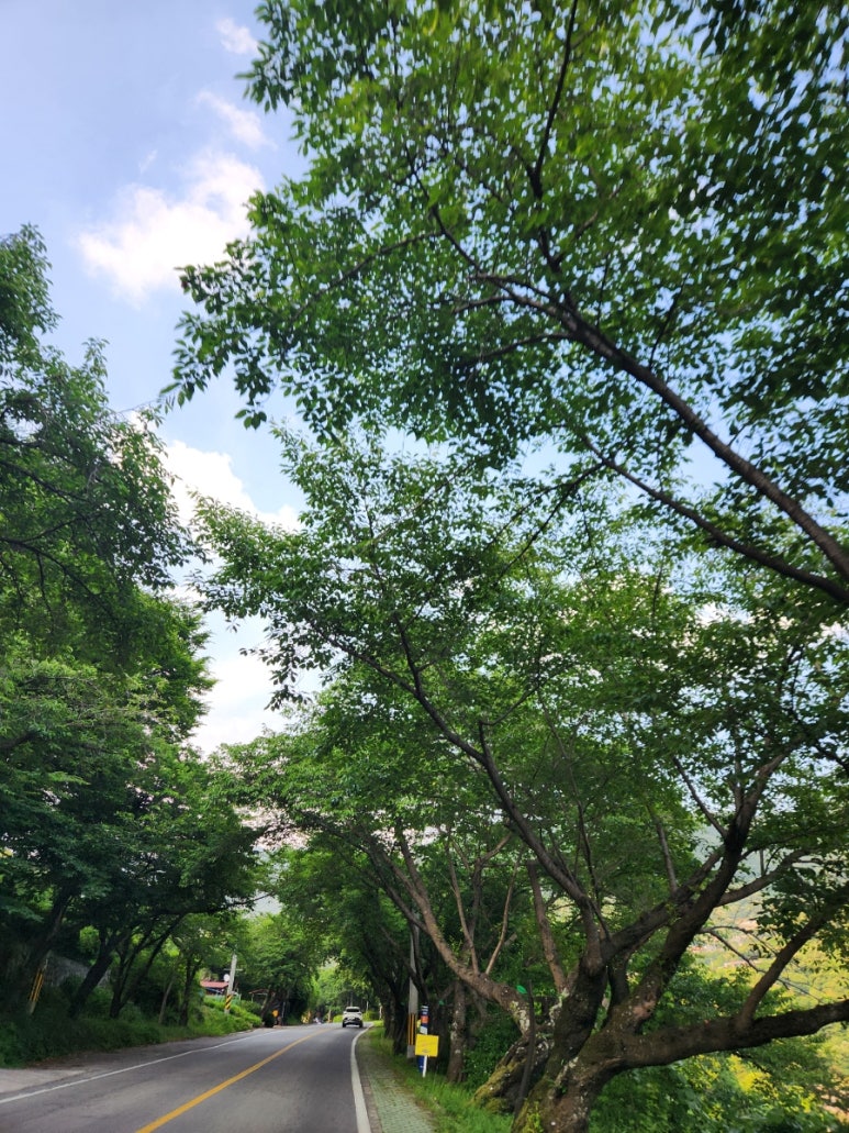 지리산둥지 야영장 이미지