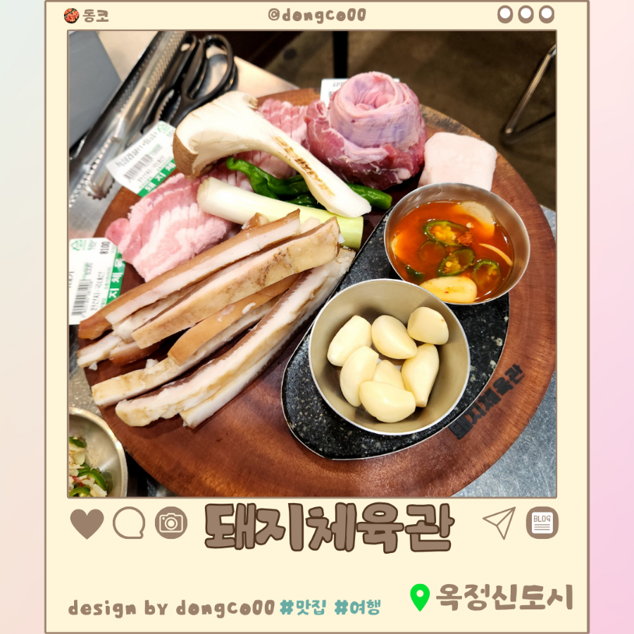 돼지체육관 이미지
