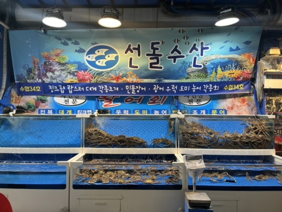 선돌수산 이미지