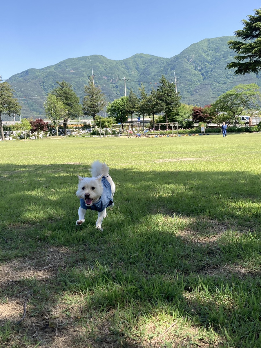 아이쿠24 이미지