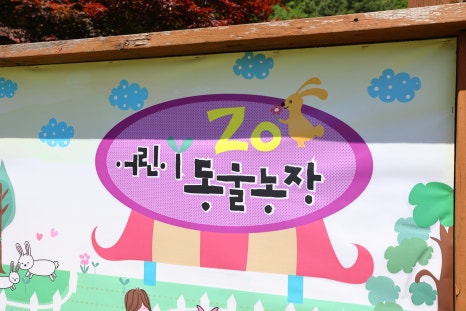 장체험관및장카페 이미지