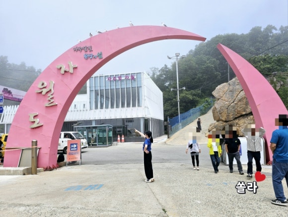 미란네식당 이미지