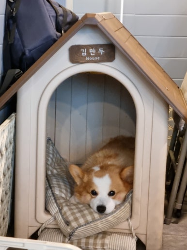 살롱드 비인 이미지