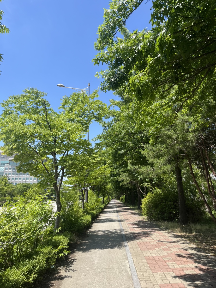 망원동티라미수전주 이미지