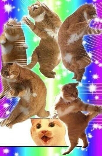 옛골가마솥뼈다귀 이미지