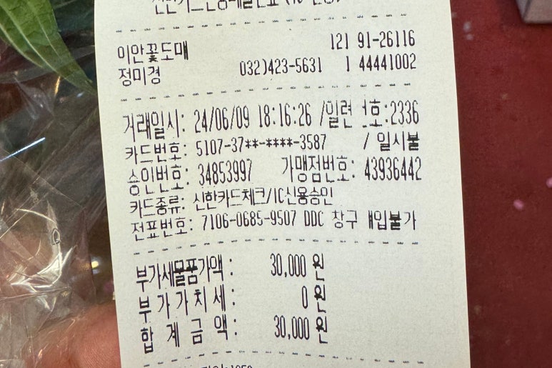 이안도매 이미지