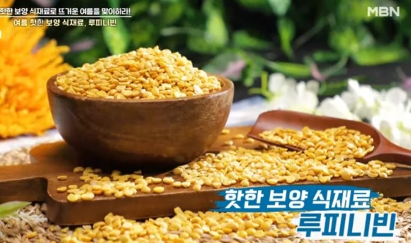 빈푸드 이미지