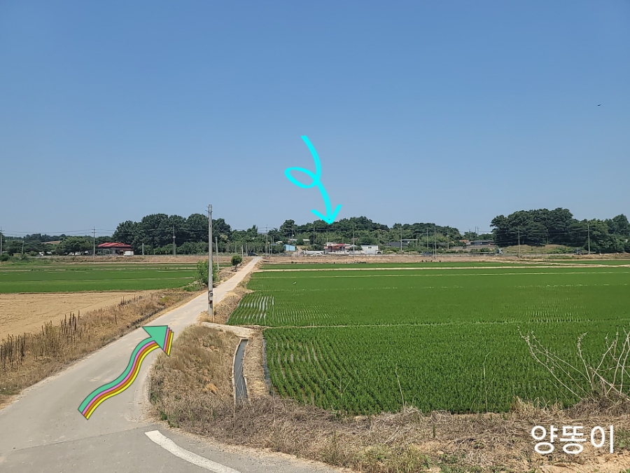 신광주유소 이미지