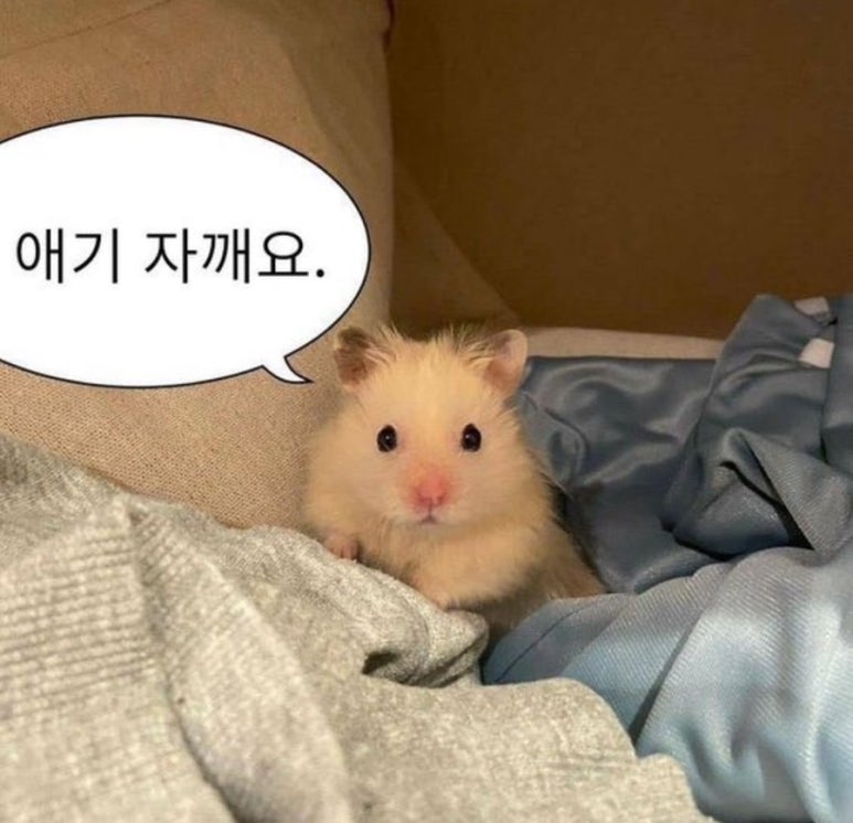 하월당 이미지