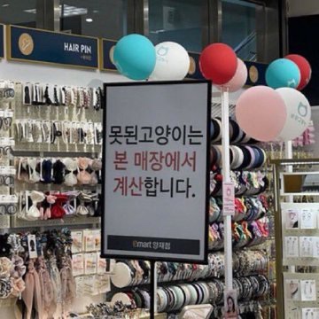 착한강아지 이미지