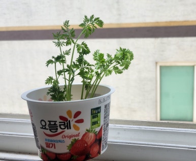하나로여행사주 이미지