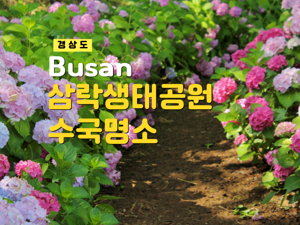 삼락주유소 이미지