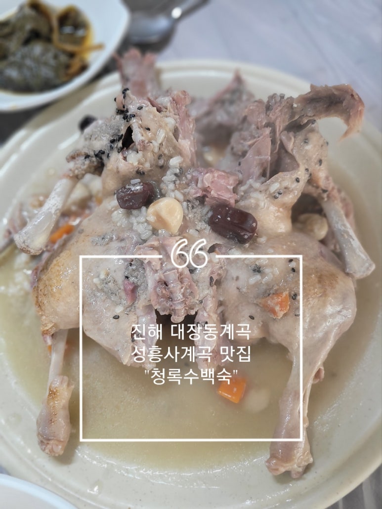 청록수 이미지