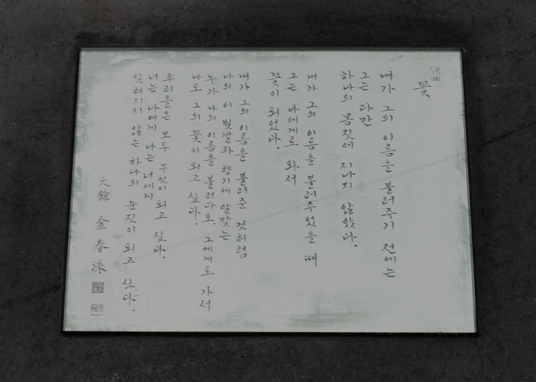 통영정가네짬뽕 이미지