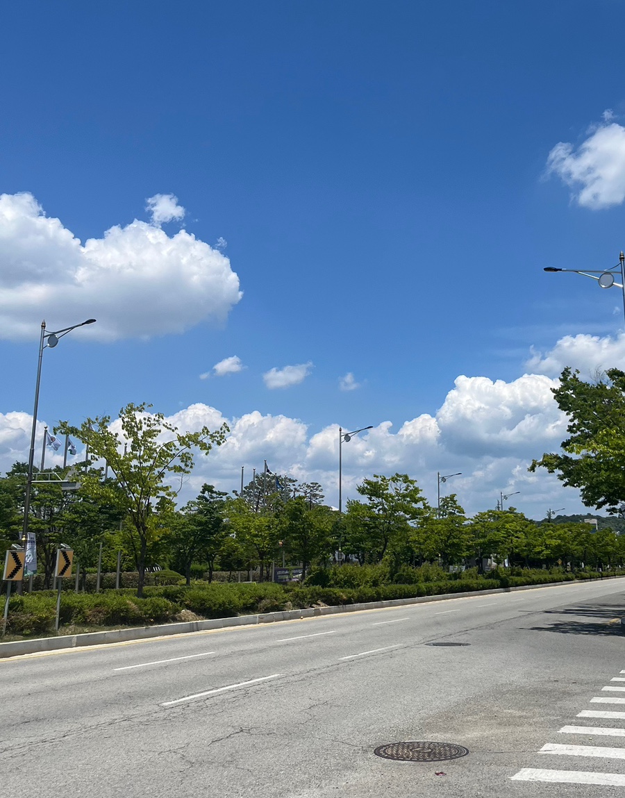 망원동티라미수전주 이미지