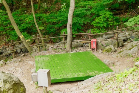 국립오서산자연휴양림 이미지