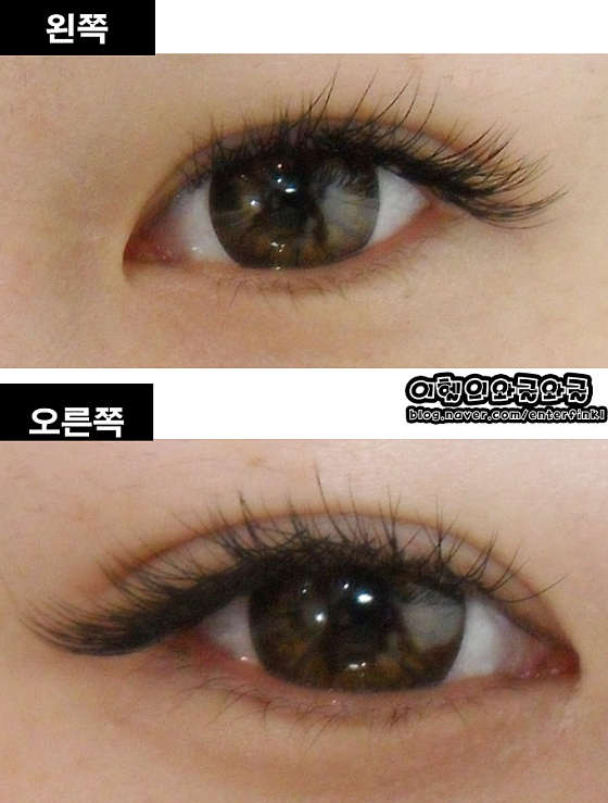 레몬네일 이미지