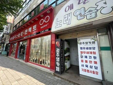 광주앵카페 이미지
