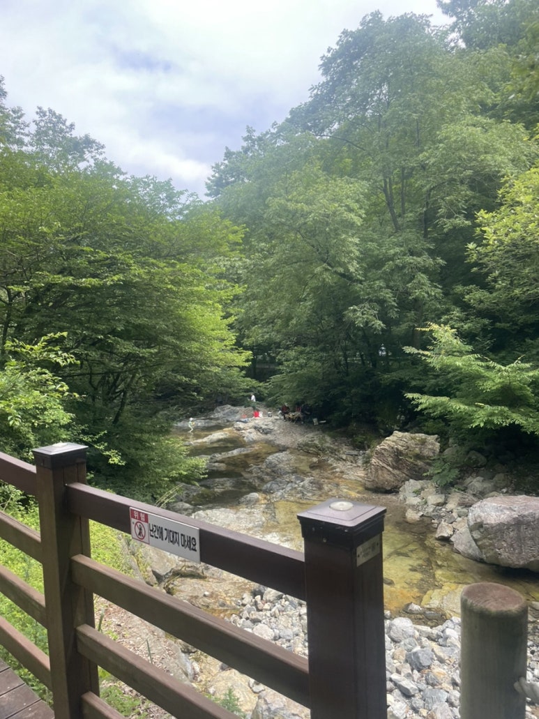 명태가도 이미지