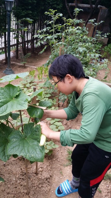 나라오이코스(주) 이미지