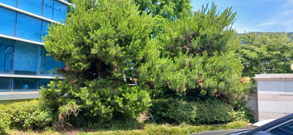 수목산업 이미지