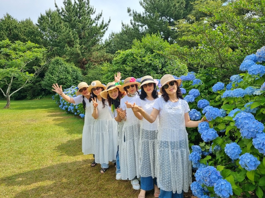 제주여행동아리 이미지