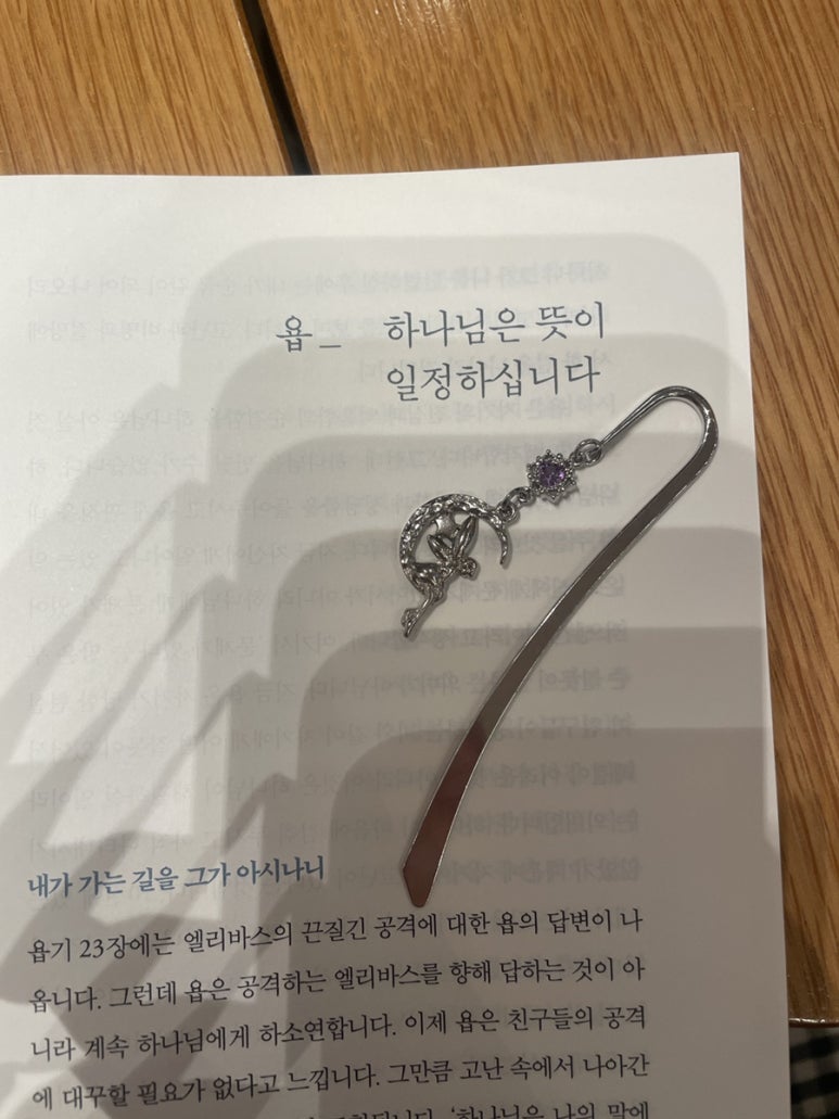 달봉이네 김치찜 이미지