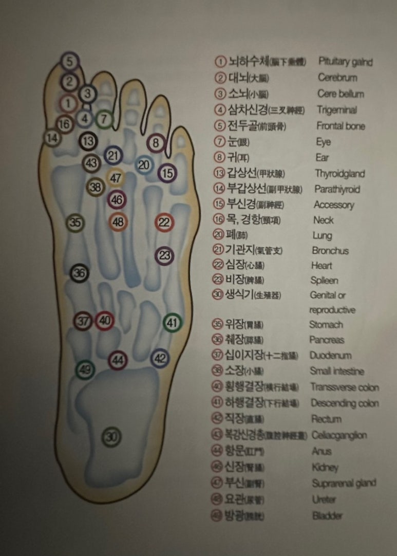 발건강관리족심도 이미지