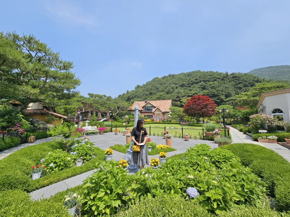 더그림헤어 이미지