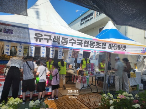 유구색동수국협동조합 이미지