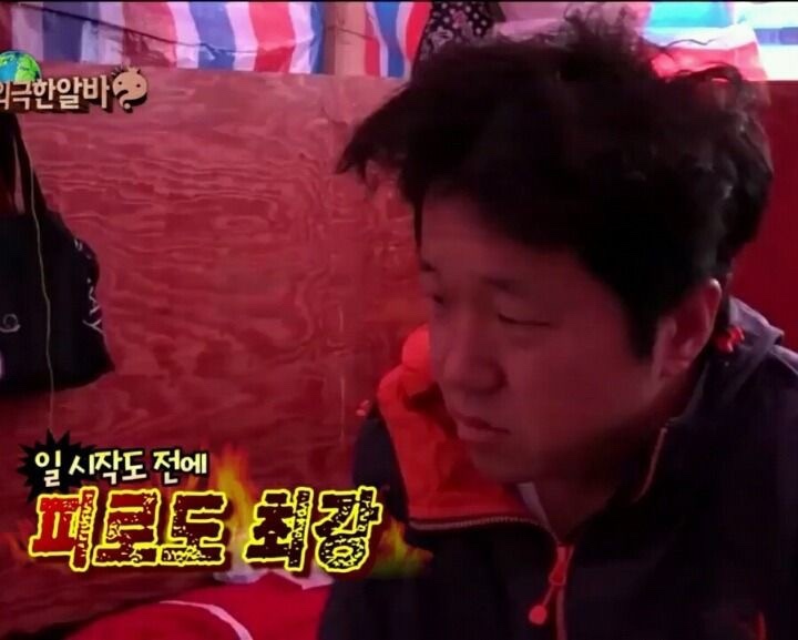 스테이프랑 이미지
