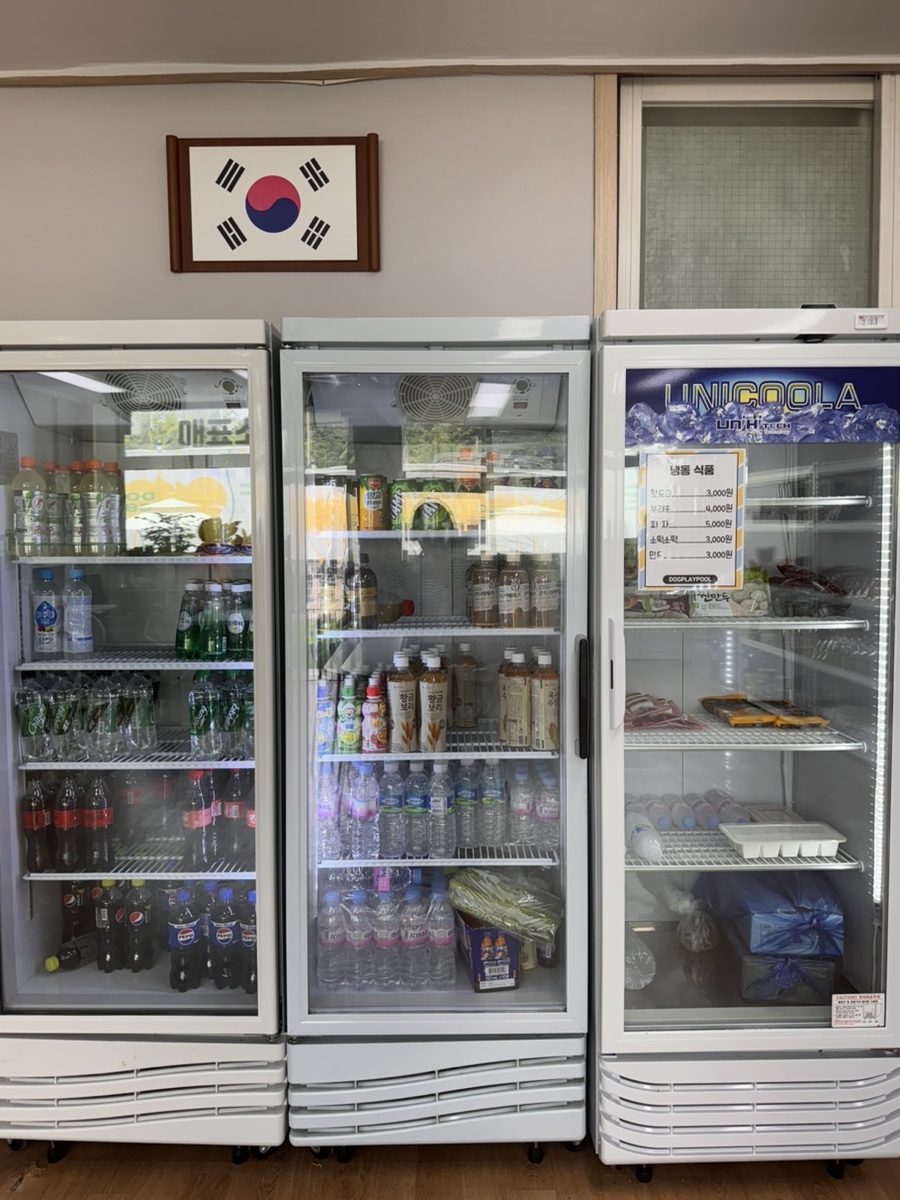 수원 도그플레이풀: 신상 강아지 수영장 이용 후기 — 사진 2