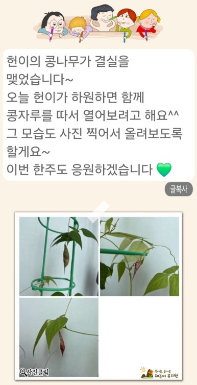 해돋이유치원 이미지