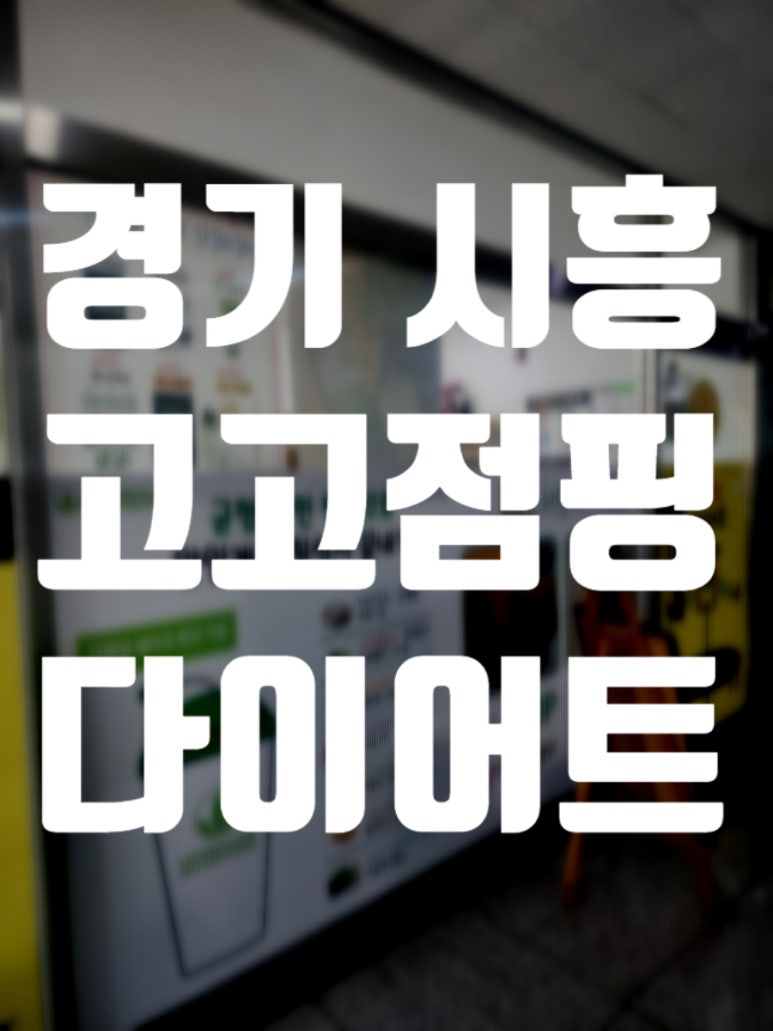 고고점핑다이어트 후기 사진